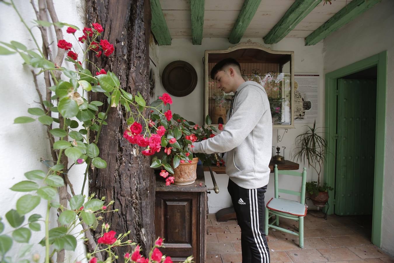 Los últimos sorbos de los Patios de Córdoba en San Basilio, en imágenes