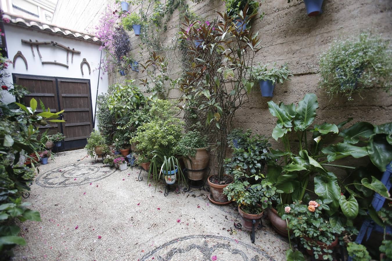 Los últimos sorbos de los Patios de Córdoba en San Basilio, en imágenes