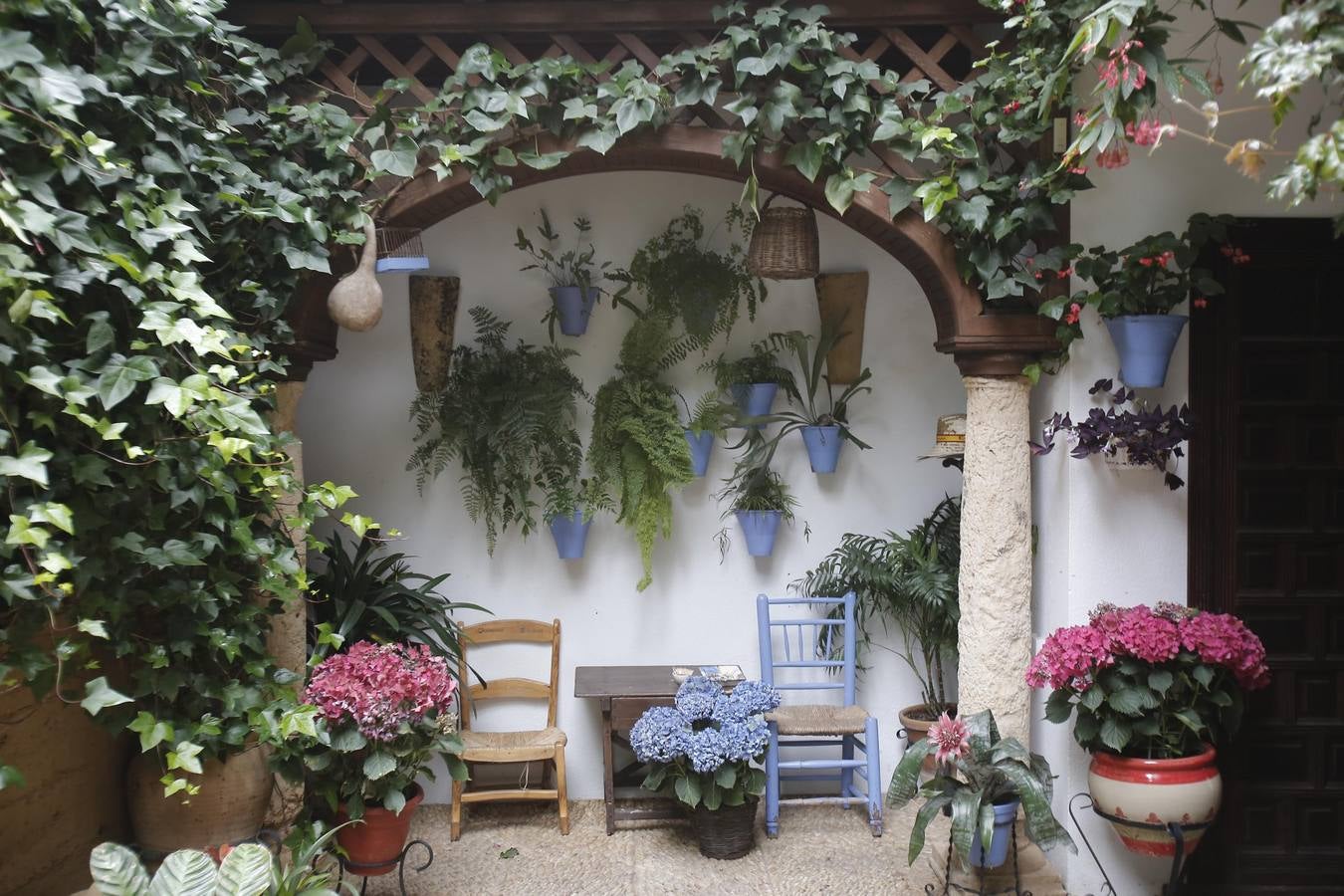 Los últimos sorbos de los Patios de Córdoba en San Basilio, en imágenes