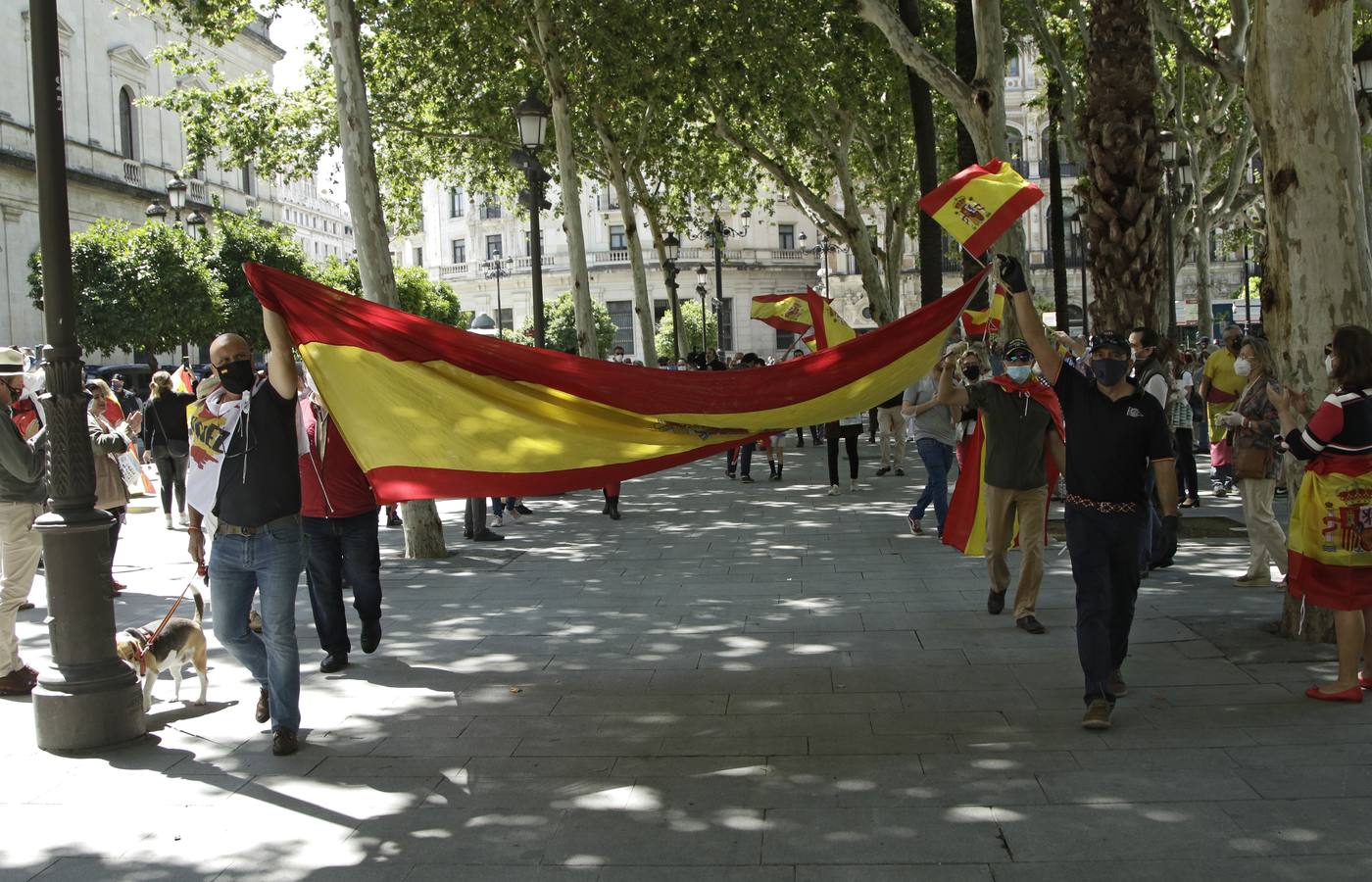 Un centenar de personas se manifiestan contra Pedro Sánchez en Sevilla