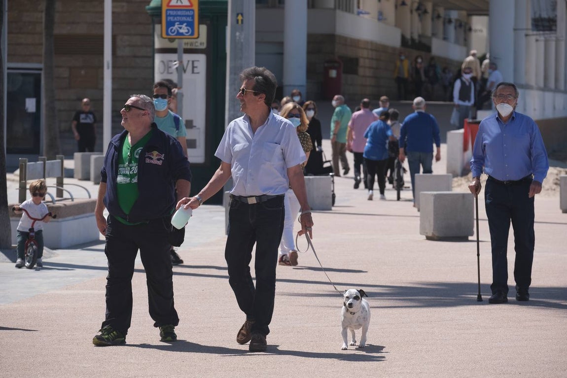 FOTOS: Cádiz llena paseos y terrazas en la «nueva normalidad» de la Fase 1