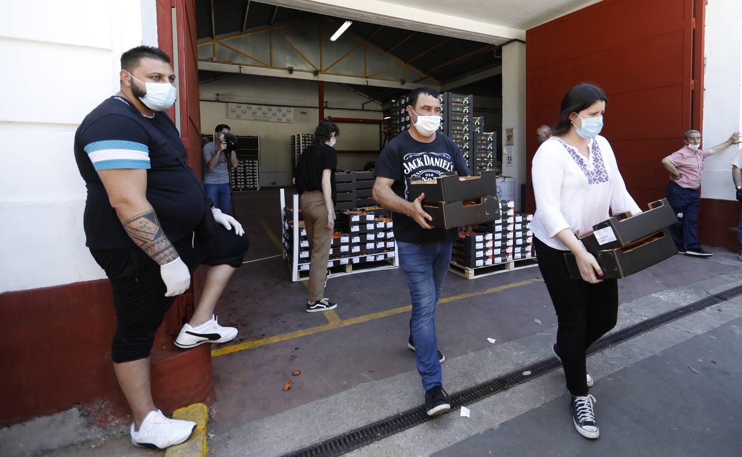 La donación de siete toneladas al Banco de Alimentos de Córdoba, en imágenes