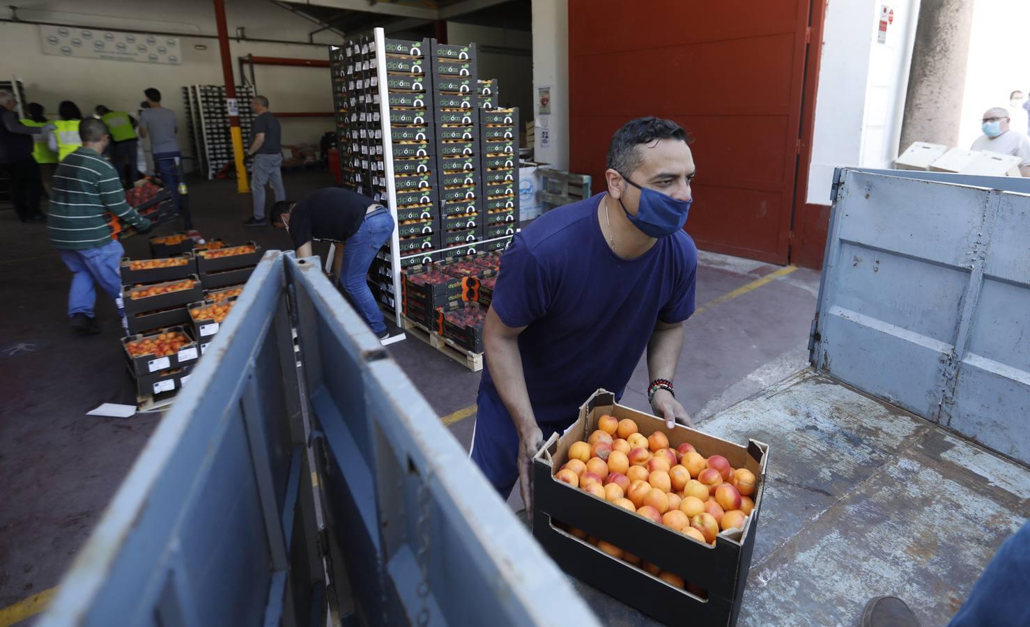 La donación de siete toneladas al Banco de Alimentos de Córdoba, en imágenes