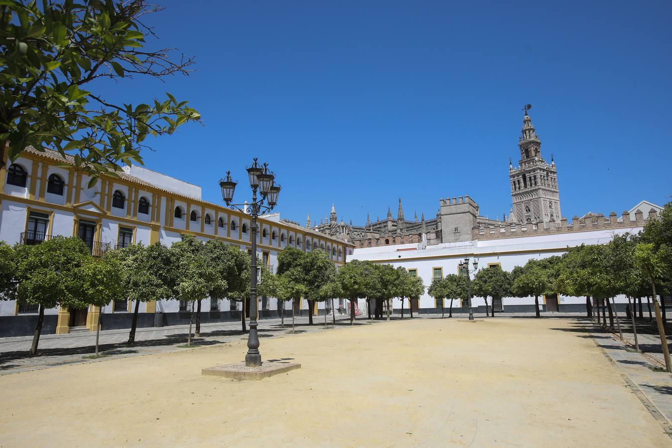 El mal estado del Patio de Banderas de Sevilla