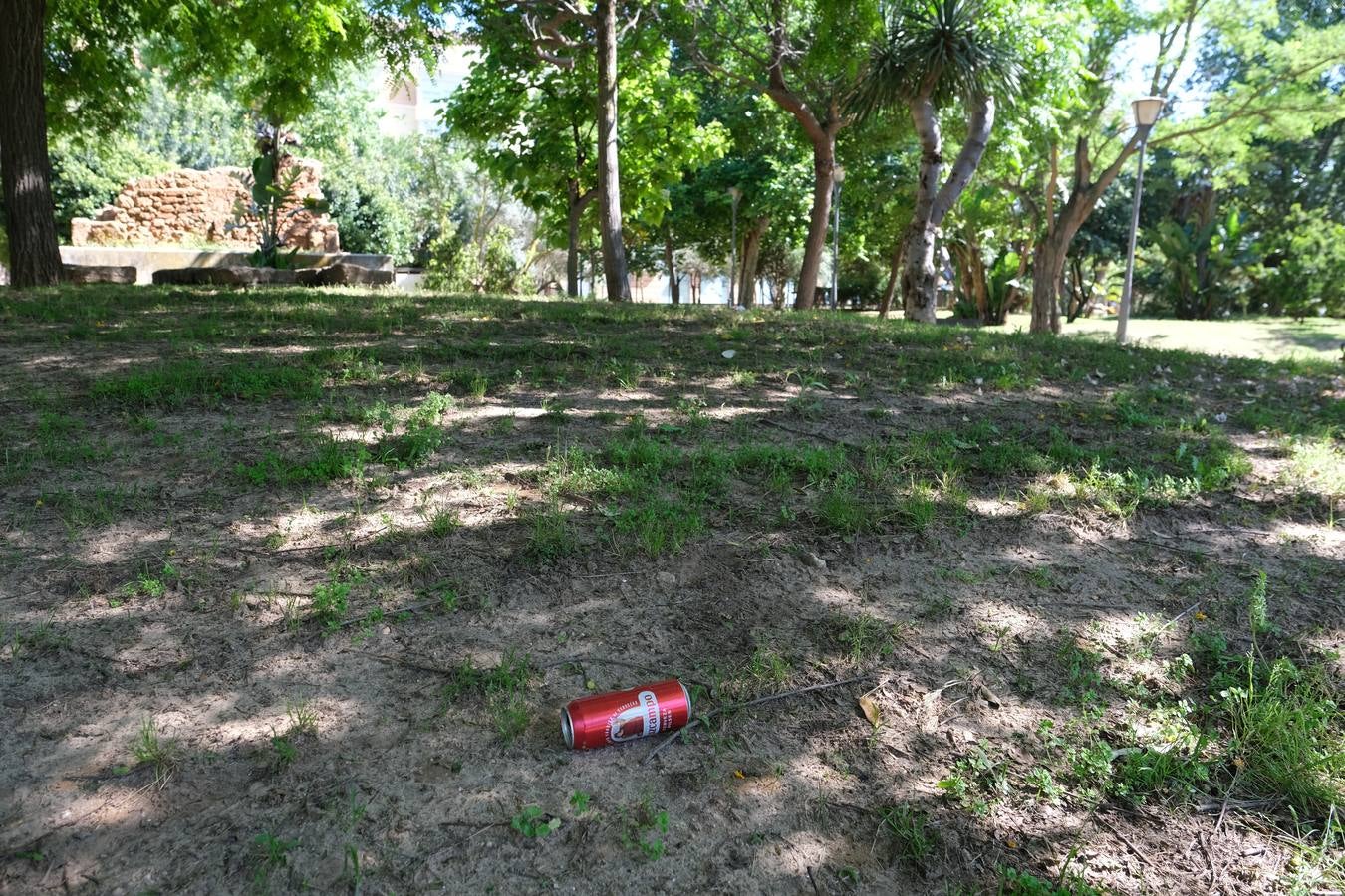 FOTOS: Falta de mantenimiento en los parques y jardines de Cádiz