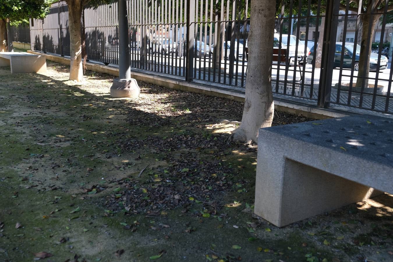 FOTOS: Falta de mantenimiento en los parques y jardines de Cádiz