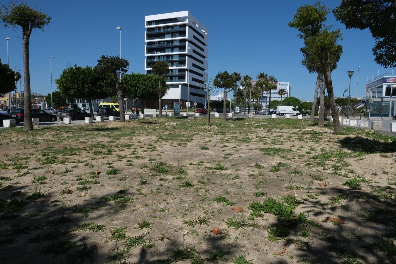 FOTOS: Falta de mantenimiento en los parques y jardines de Cádiz