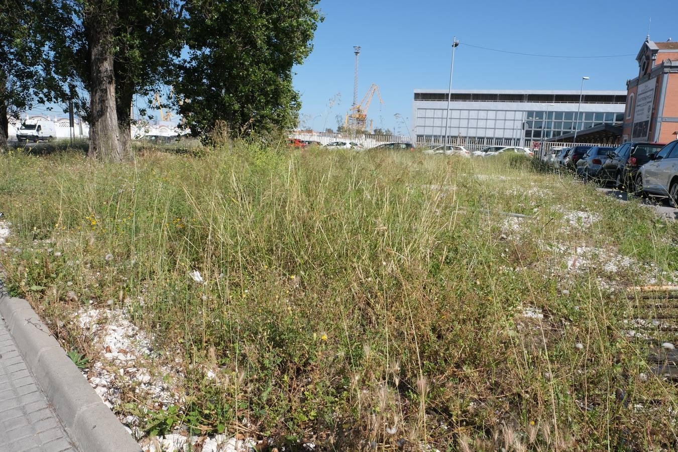 FOTOS: Falta de mantenimiento en los parques y jardines de Cádiz