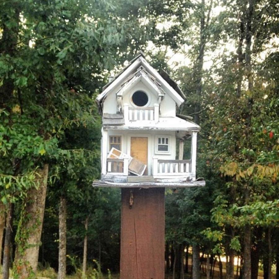 Detalles con encanto. Cada rincón tiene algún detalle especial, incluso encontramos una casita para los pájaros de la zona. Se sabe también que el terreno en el que está edificada posee unas dimensiones de 9 hectáreas y que fue construida en la década de los setenta tomando como referencia las arquitectura Toscana.