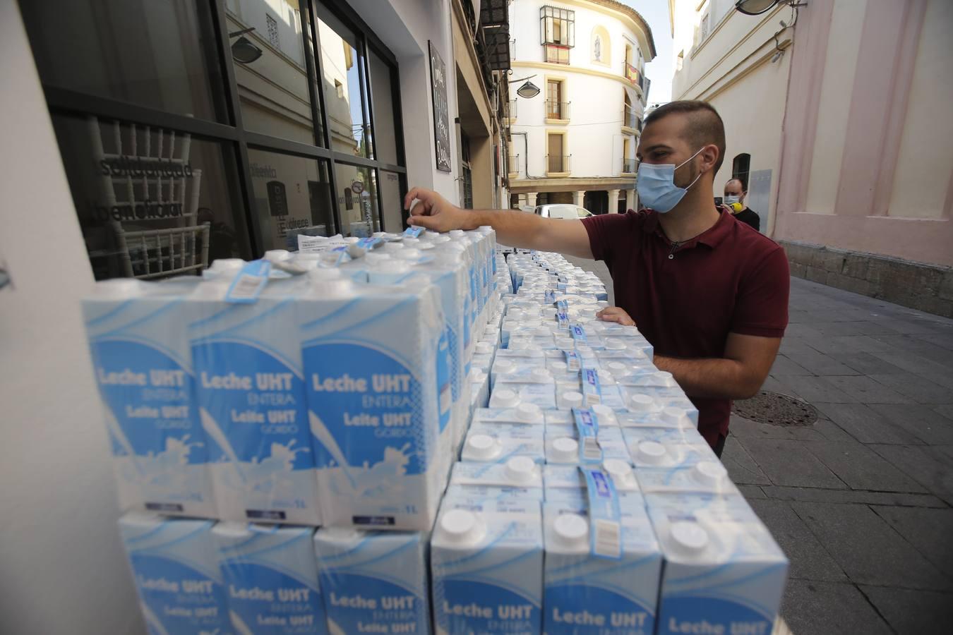 La entrega de alimentos de Centro Córdoba a Cáritas, en imágenes