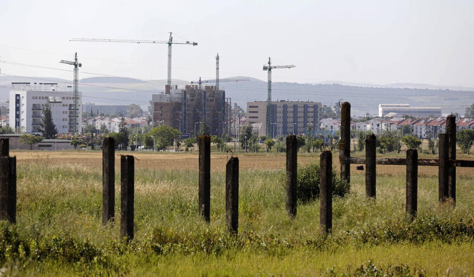 En imágenes, la expansión de Córdoba por Huerta de Santa Isabel