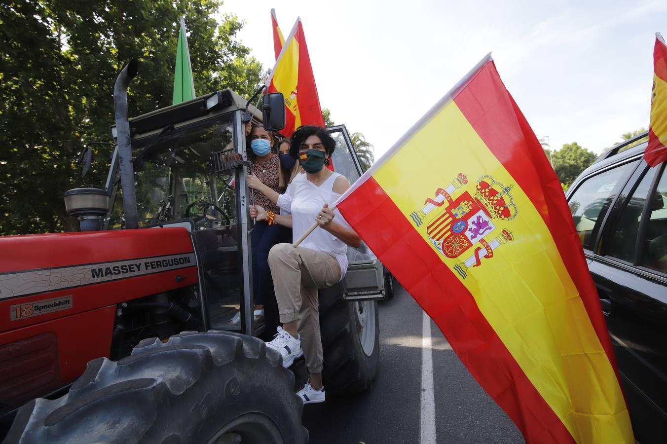 La marcha contra el Gobierno en Córdoba de Vox, en imágenes (II)