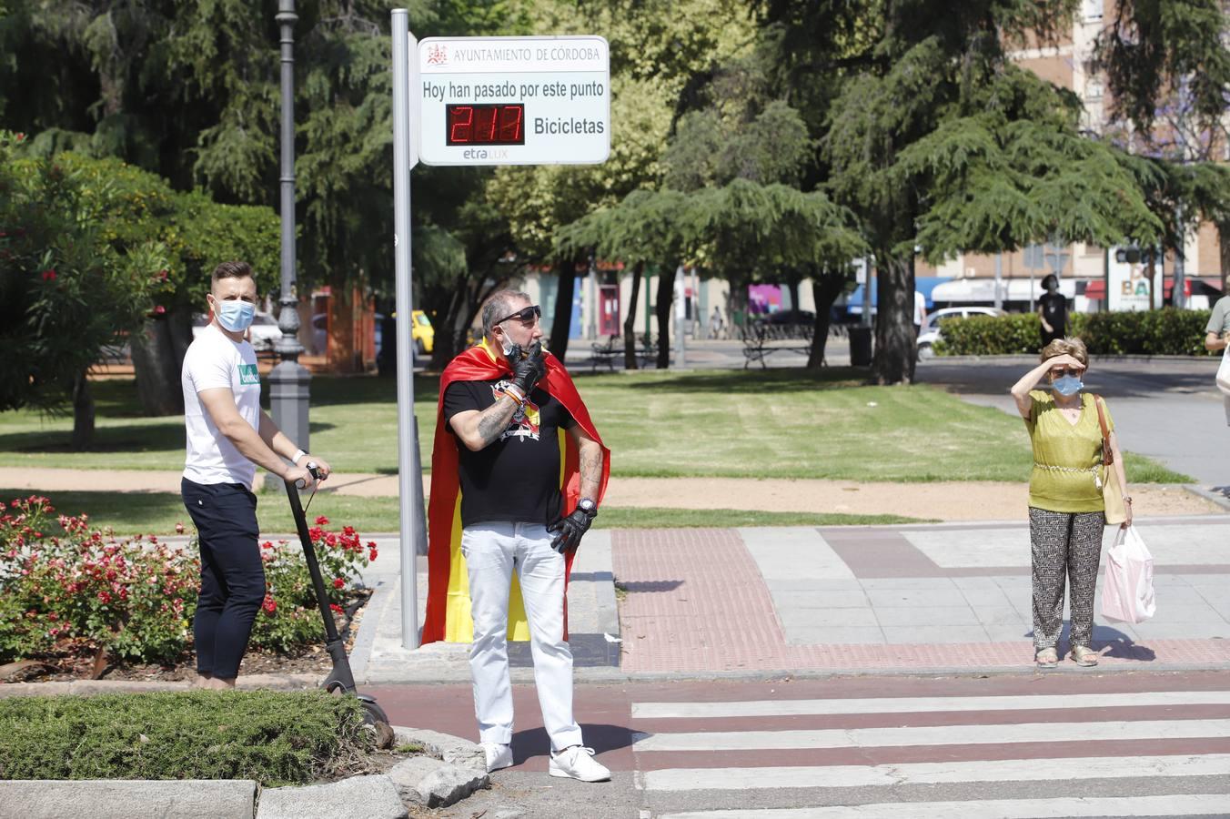 La marcha contra el Gobierno en Córdoba de Vox, en imágenes (I)