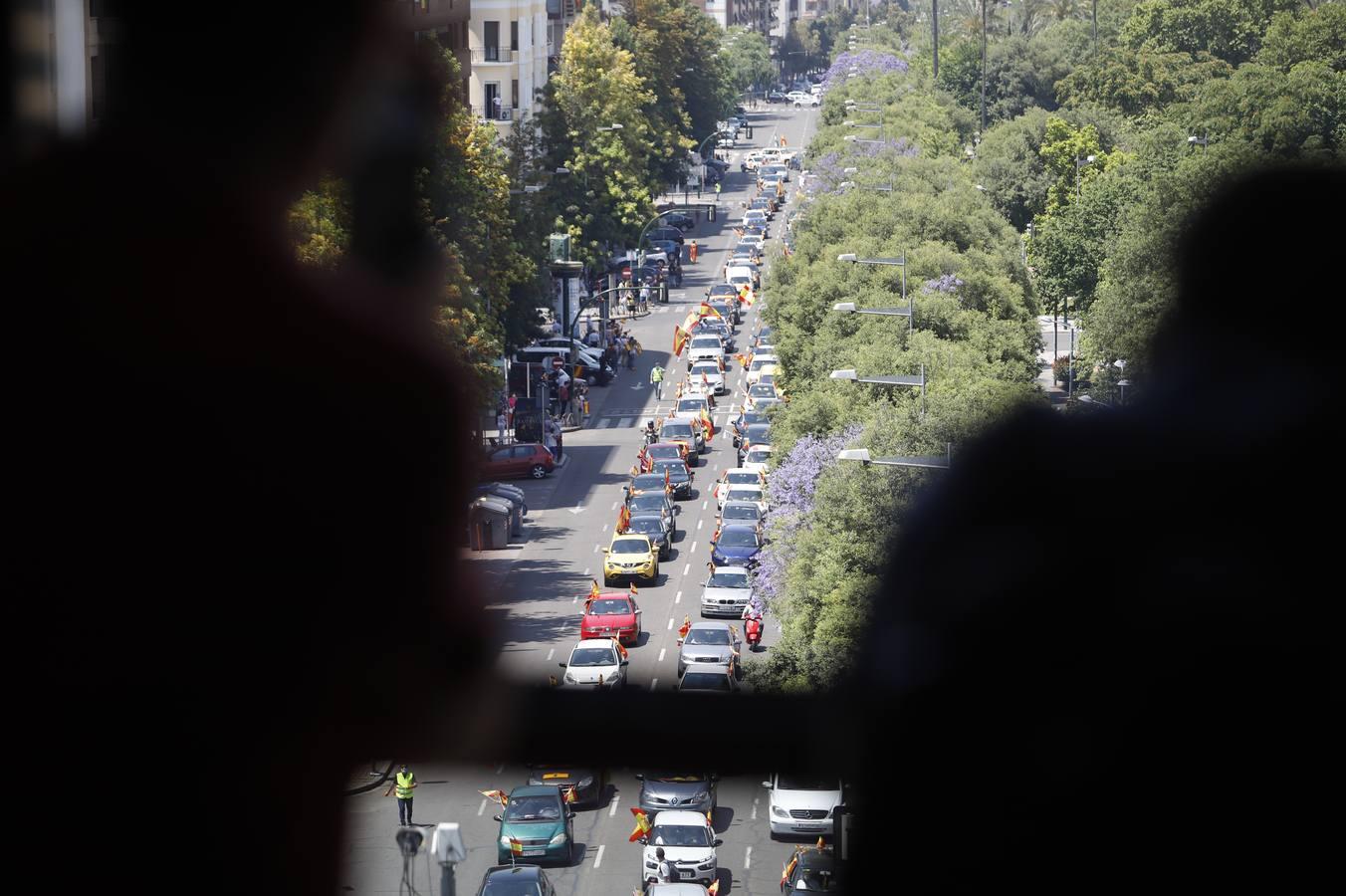 La marcha contra el Gobierno en Córdoba de Vox, en imágenes (I)