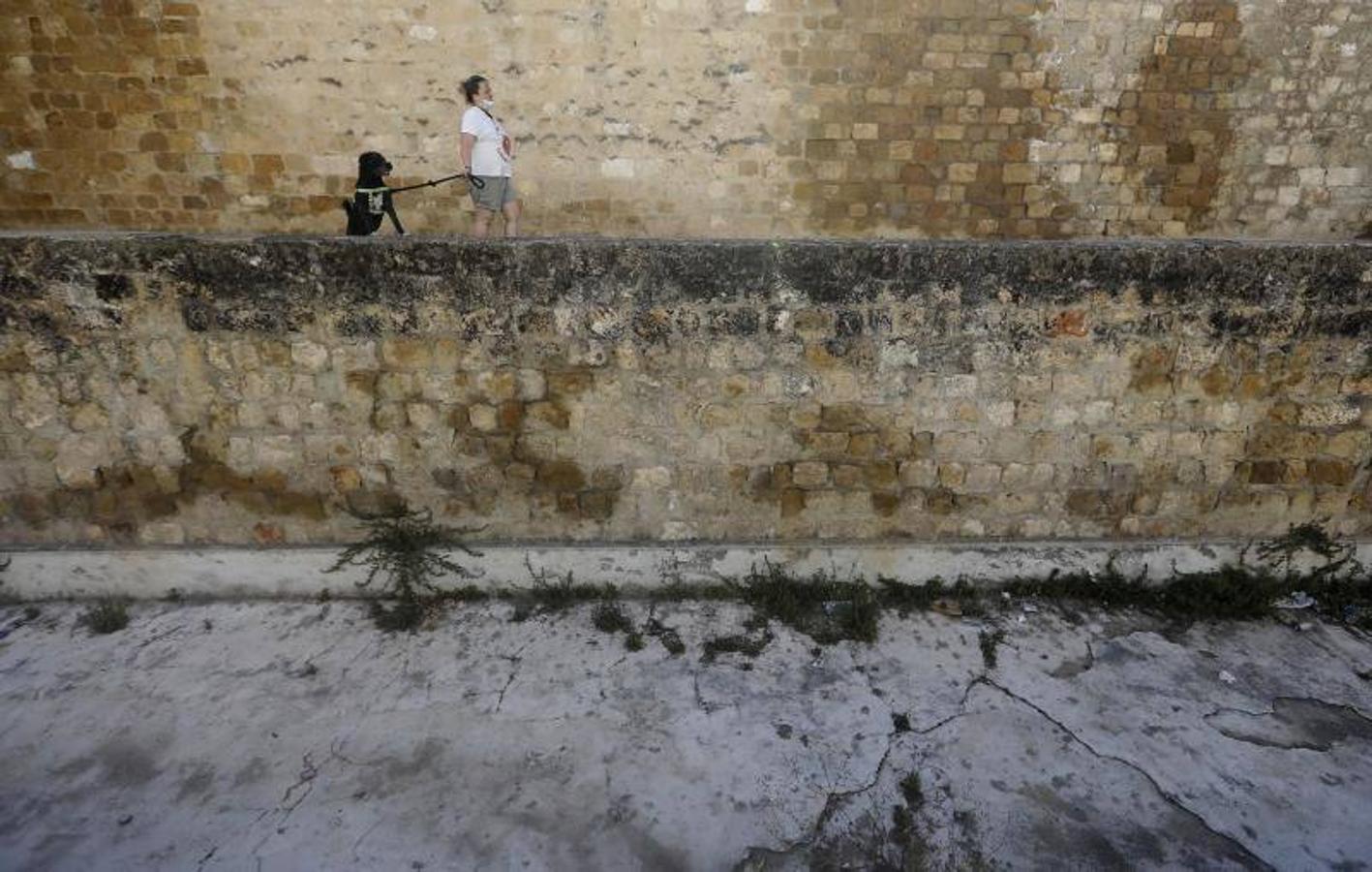 El foso y el entorno de la calle Cairuán de Córdoba, en imágenes