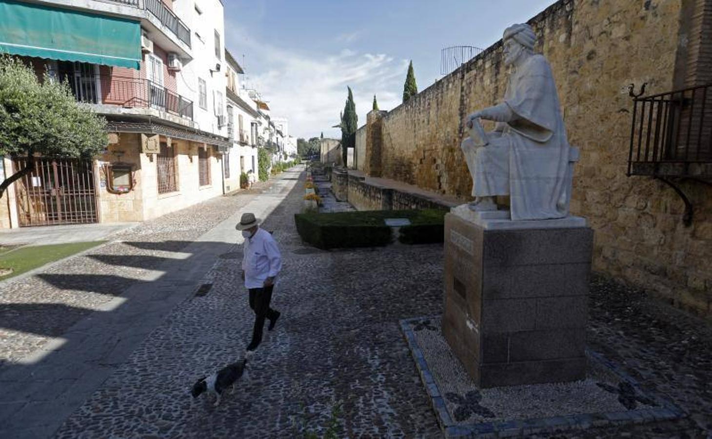 El foso y el entorno de la calle Cairuán de Córdoba, en imágenes