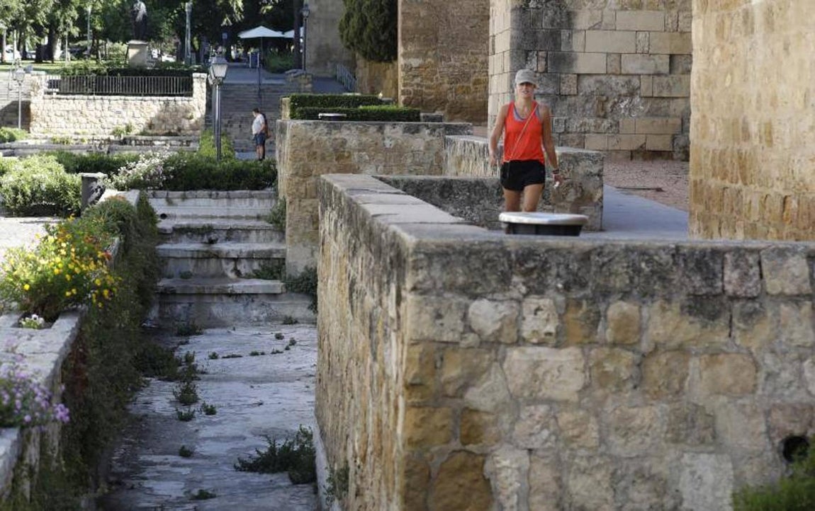 El foso y el entorno de la calle Cairuán de Córdoba, en imágenes