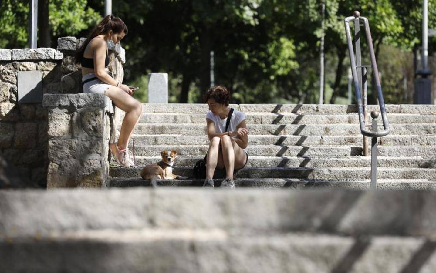 El foso y el entorno de la calle Cairuán de Córdoba, en imágenes