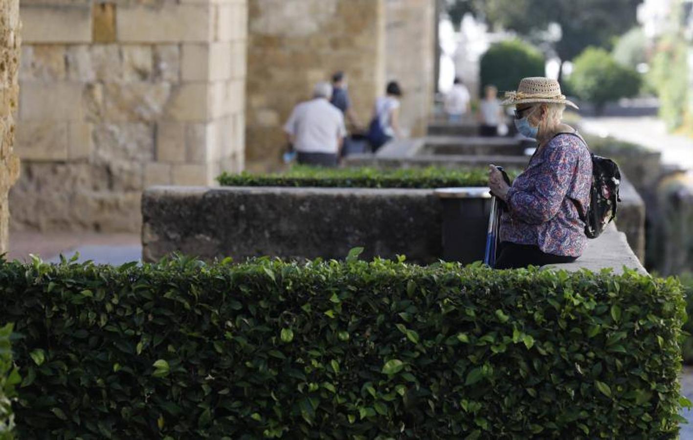 El foso y el entorno de la calle Cairuán de Córdoba, en imágenes