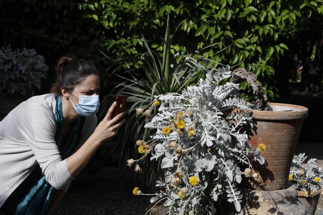 La reapertura de Viana y los Jardines del Alcázar de Córdoba, en imágenes