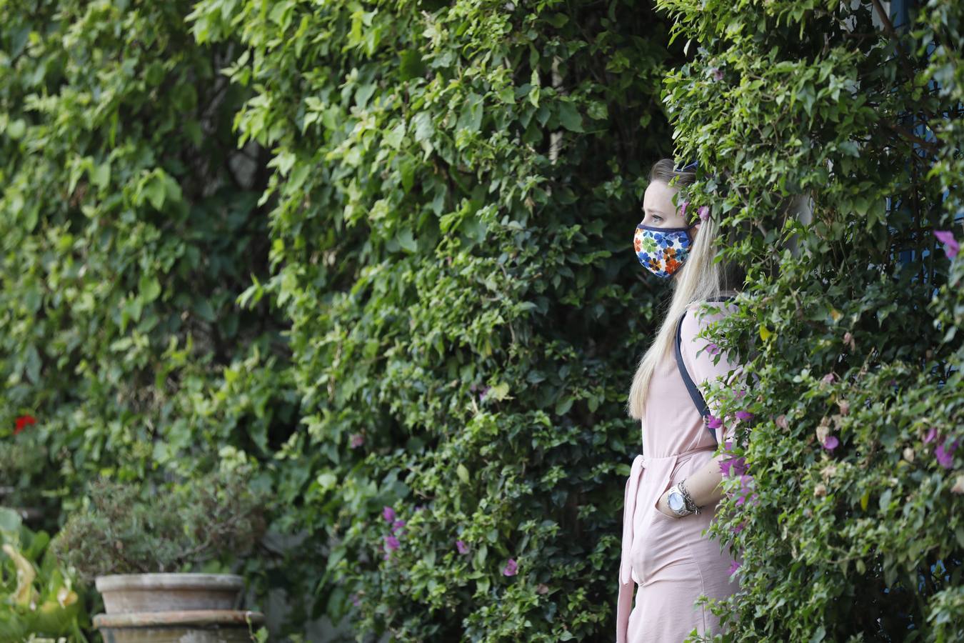 La reapertura de Viana y los Jardines del Alcázar de Córdoba, en imágenes