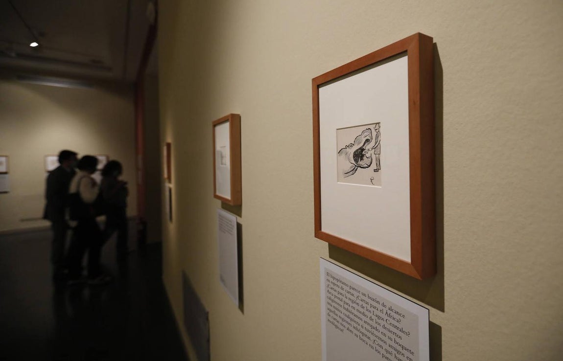 La exposición «Greguerías ilustradas», de ABC en Córdoba, en imágenes