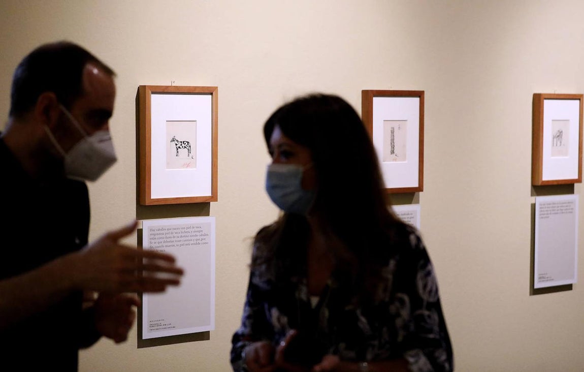 La exposición «Greguerías ilustradas», de ABC en Córdoba, en imágenes