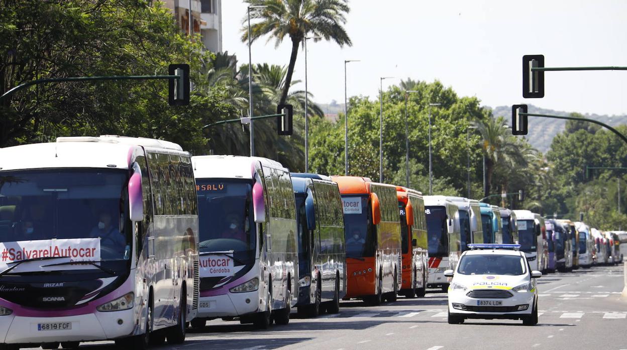 La caravana de autobuses de Córdoba, en imágenes