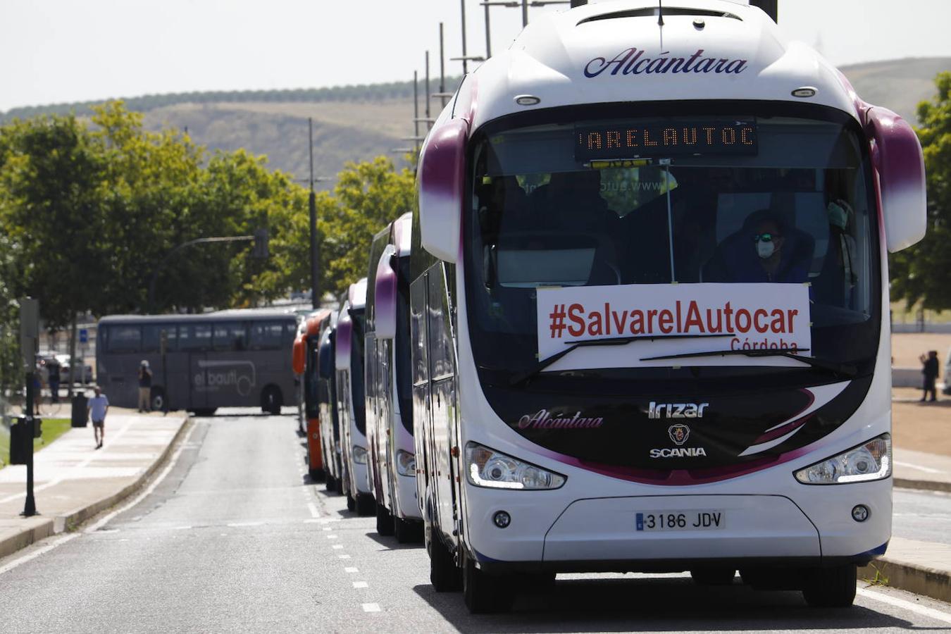 La caravana de autobuses de Córdoba, en imágenes