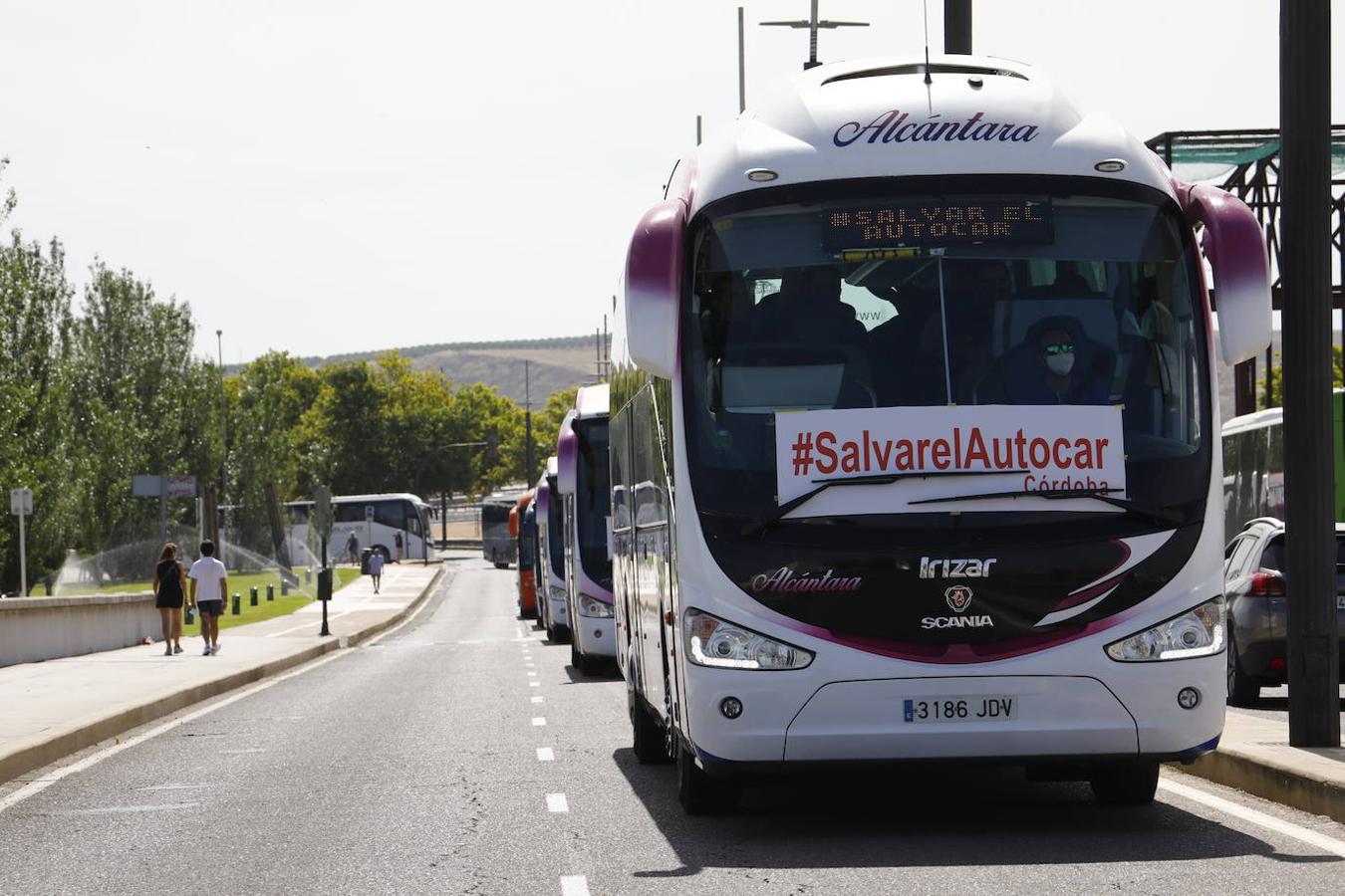 La caravana de autobuses de Córdoba, en imágenes