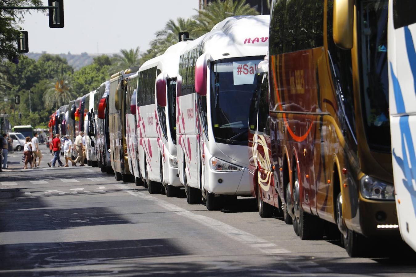 La caravana de autobuses de Córdoba, en imágenes