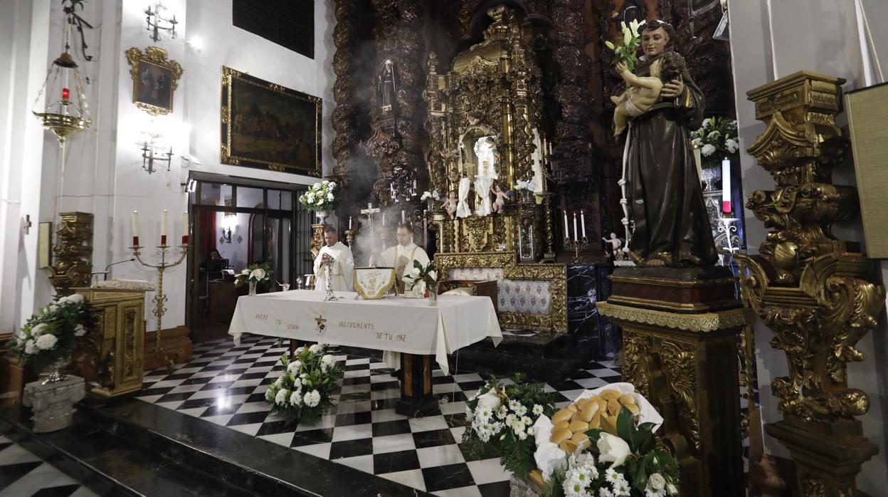 El reparto de pan de San Antonio en las Capuchinas de Córdoba, en imágenes