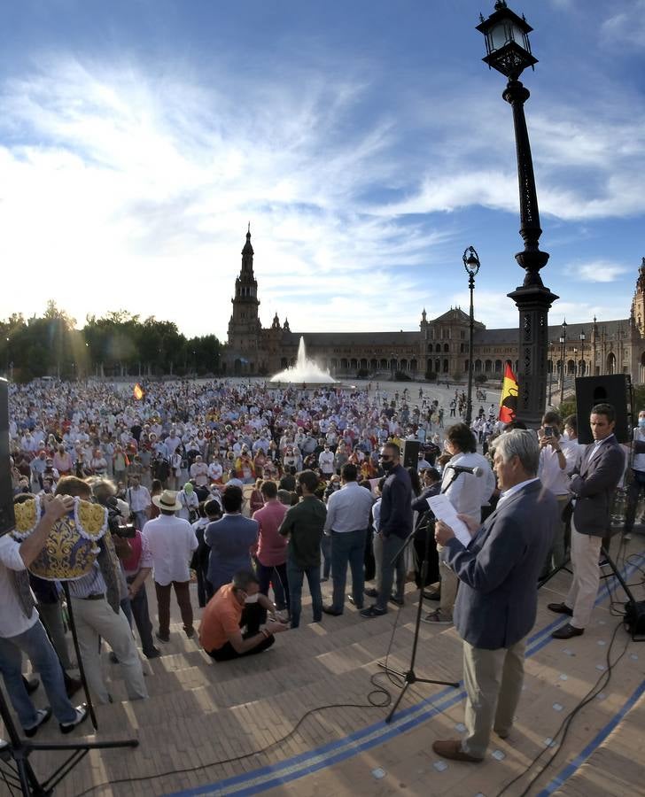 En imágenes, paseo taurino reivindicativo por las calles de Sevilla