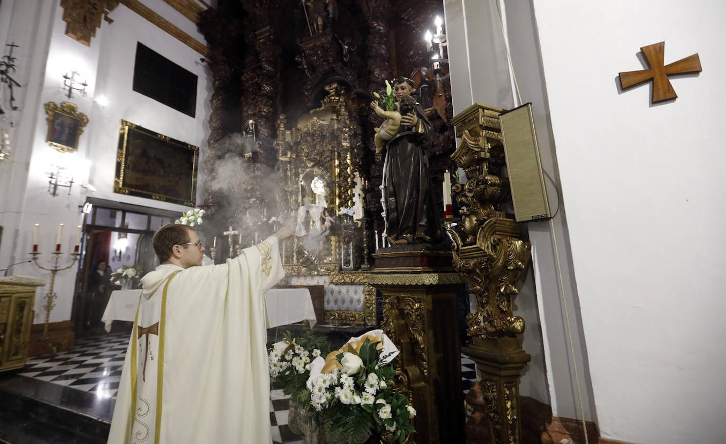 El reparto de pan de San Antonio en las Capuchinas de Córdoba, en imágenes