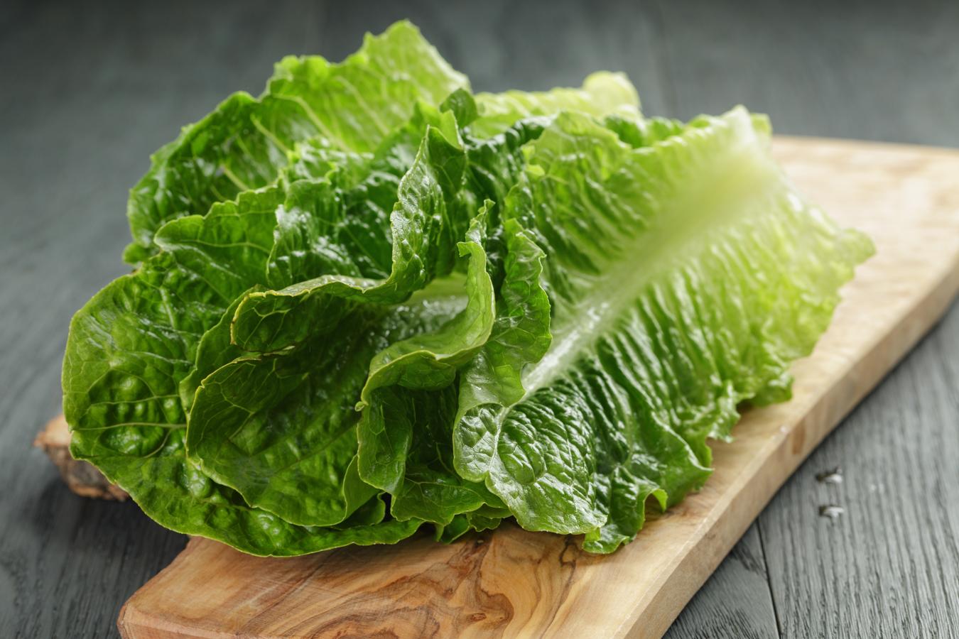 Lechuga. Al igual que ocurre con los canónigos, la lechuga también es una fuente de agua: 95,2 gramos por cada 100 gramos del alimento.