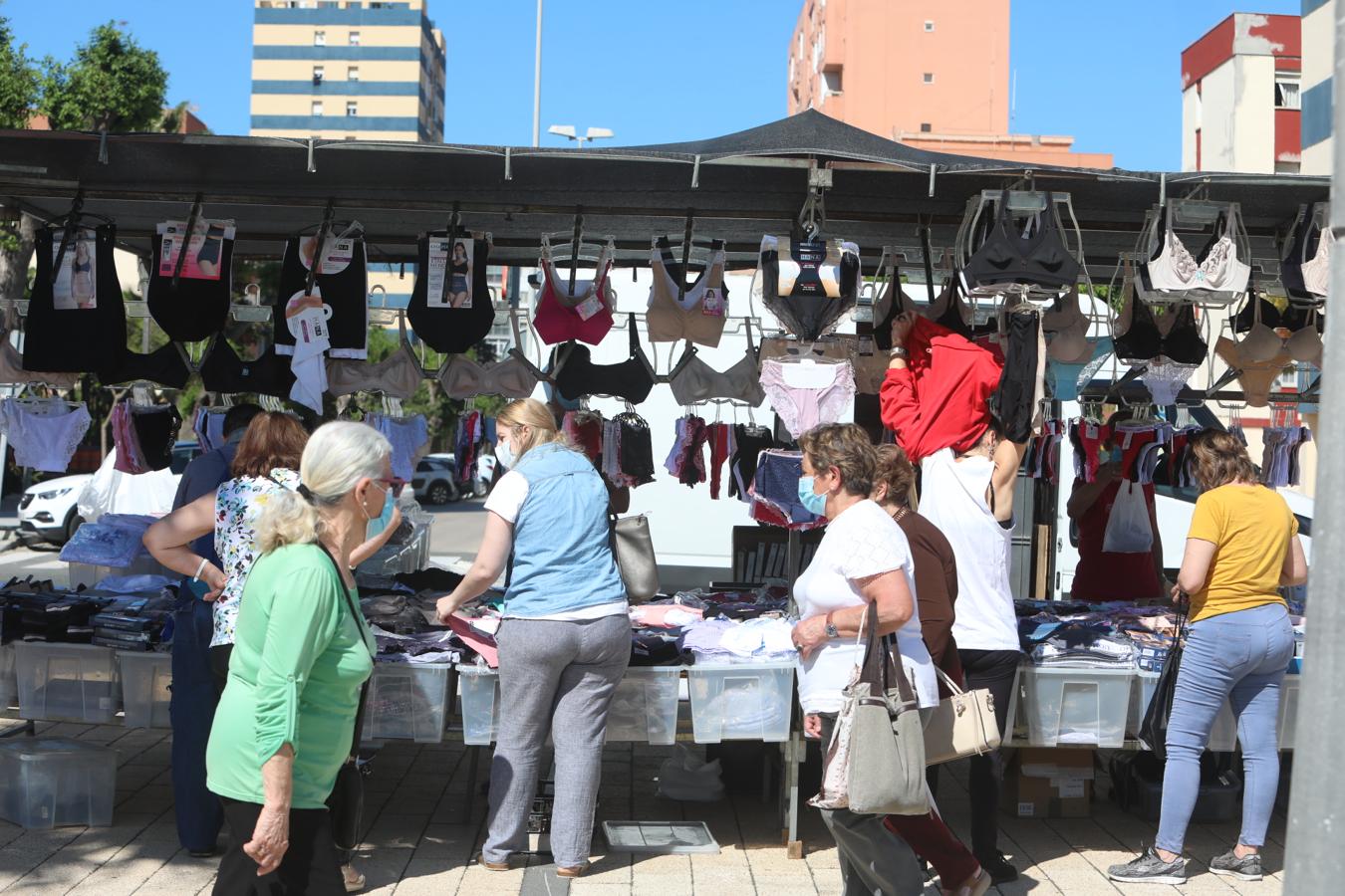 FOTOS: El piojito vuelve a ponerse en Cádiz después de tres meses