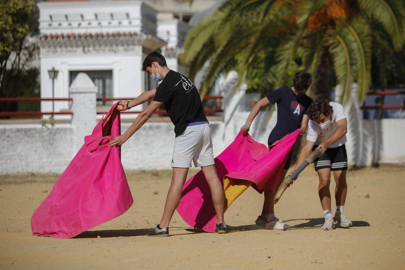 La Escuela Taurina de Sevilla retoma su actividad