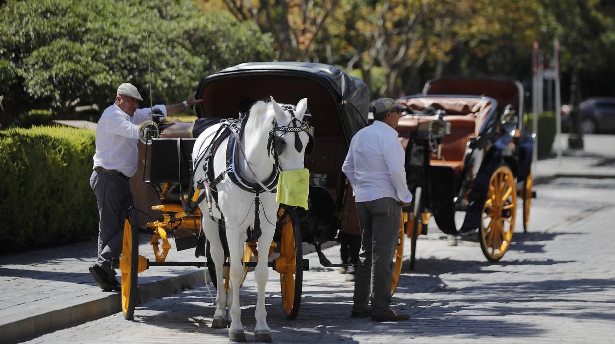 Los coches de caballos vuelven a las calles de Sevilla