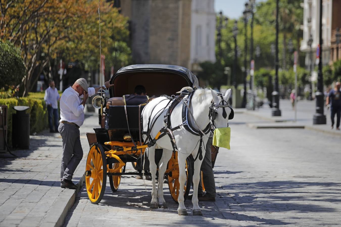 Los coches de caballos vuelven a las calles de Sevilla