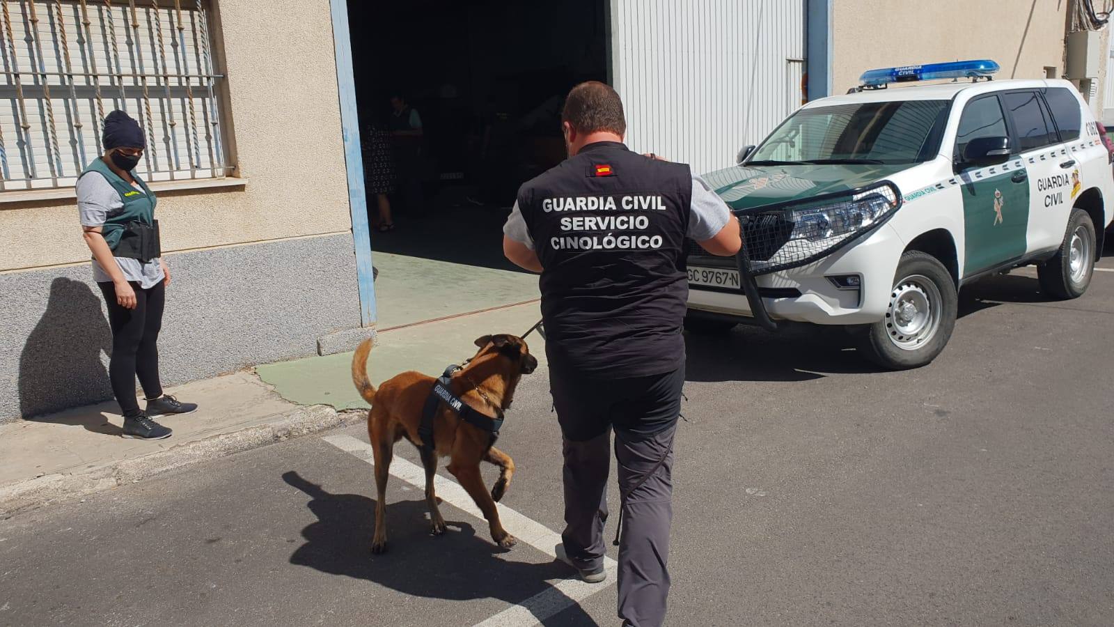 Operacion antidroga de la Guardia Civil en la provincia