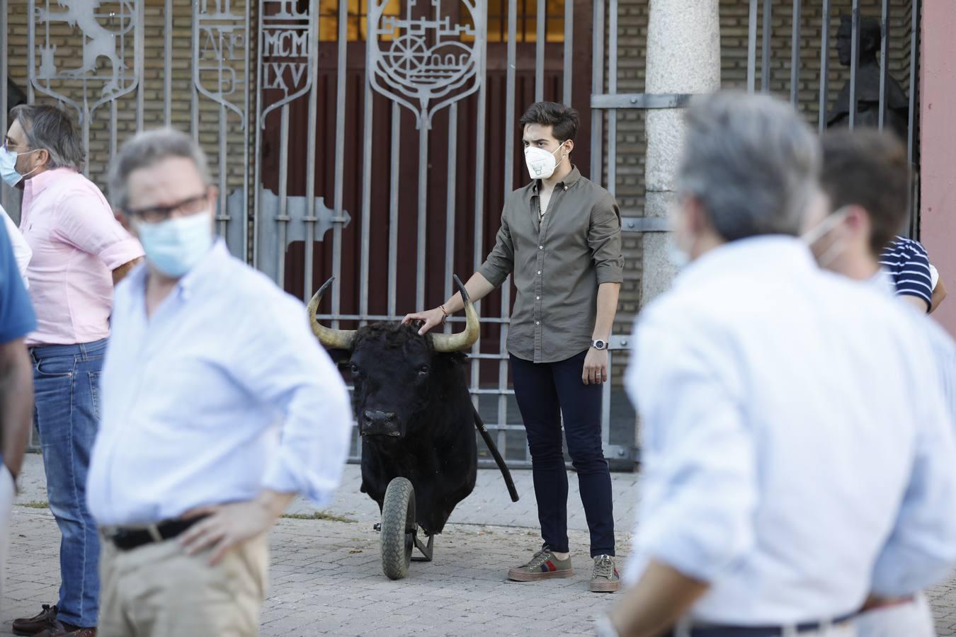 La manifestación «Los toros son cultura» de Córdoba, en imágenes