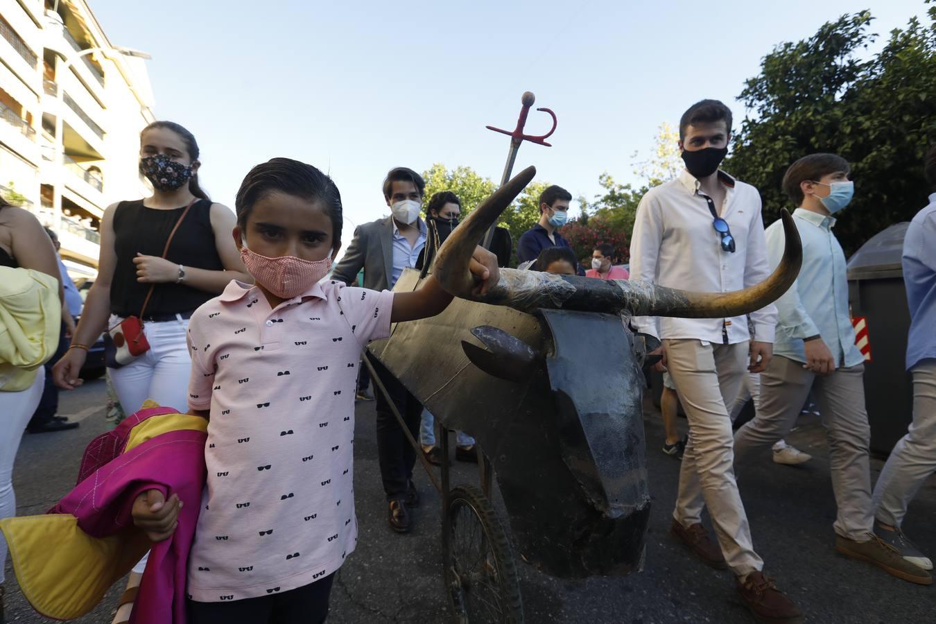 La manifestación «Los toros son cultura» de Córdoba, en imágenes