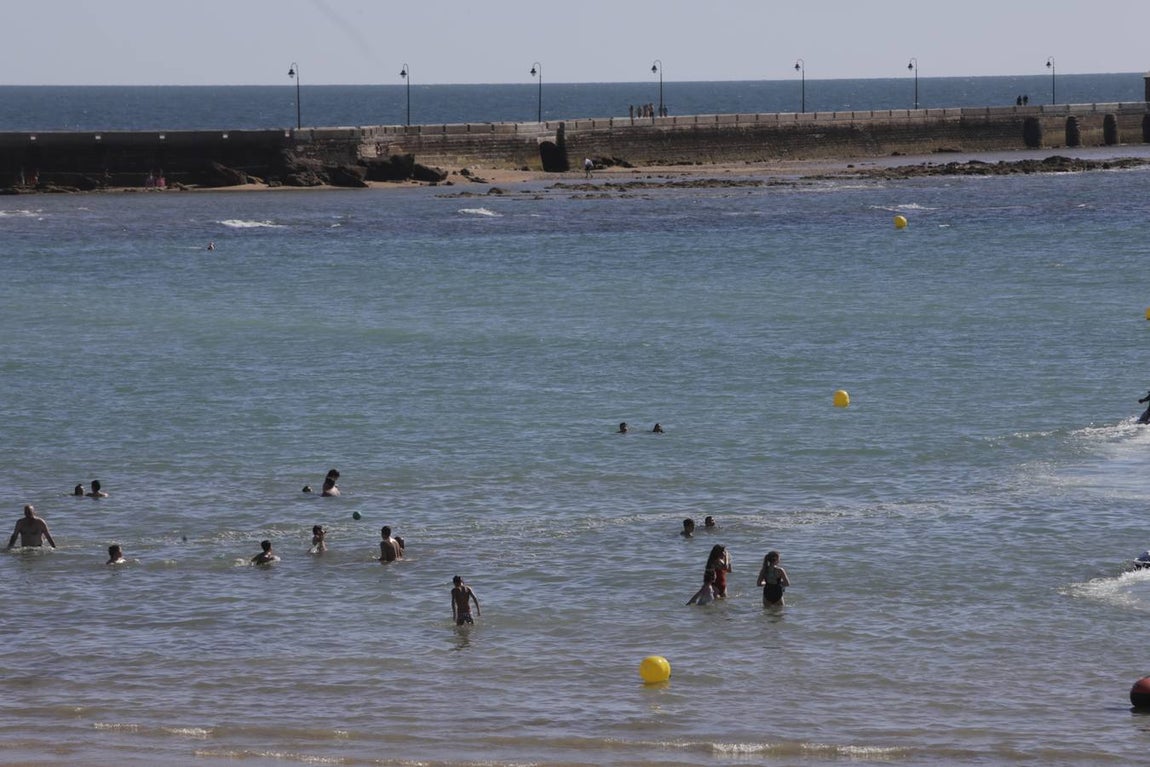 FOTOS: Las mascarillas, protagonistas de la cuenta atrás para la nueva normalidad en Cádiz