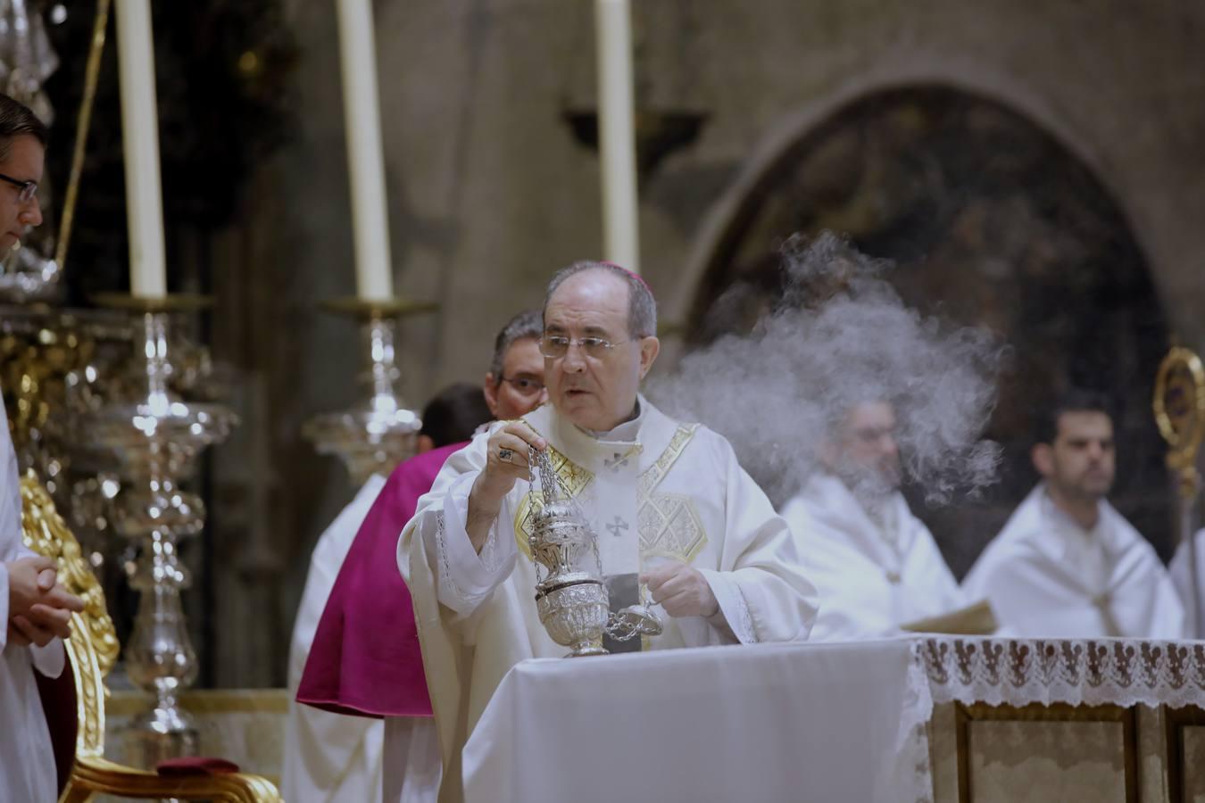 Siete nuevos sacerdotes para Sevilla