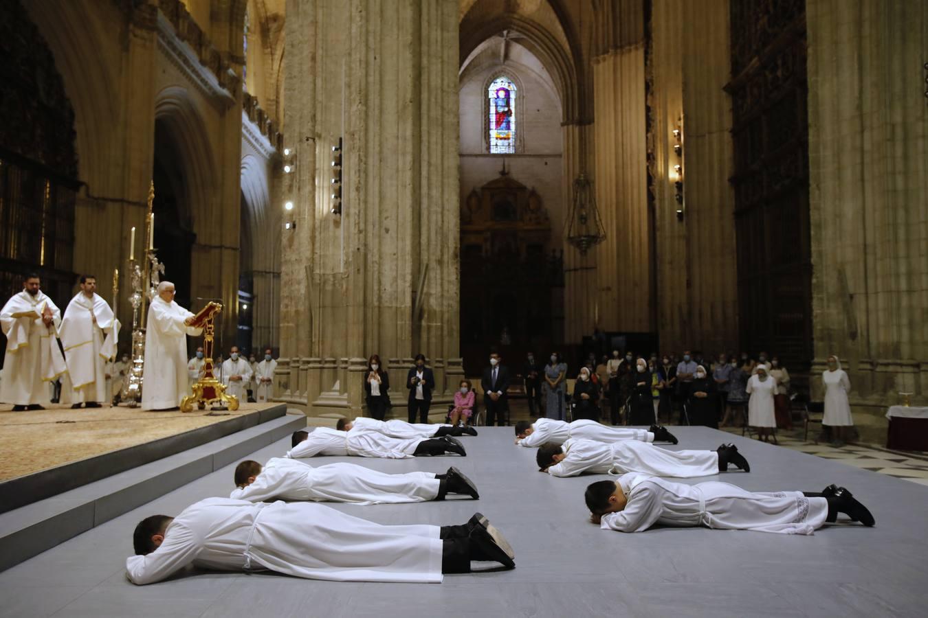 Siete nuevos sacerdotes para Sevilla