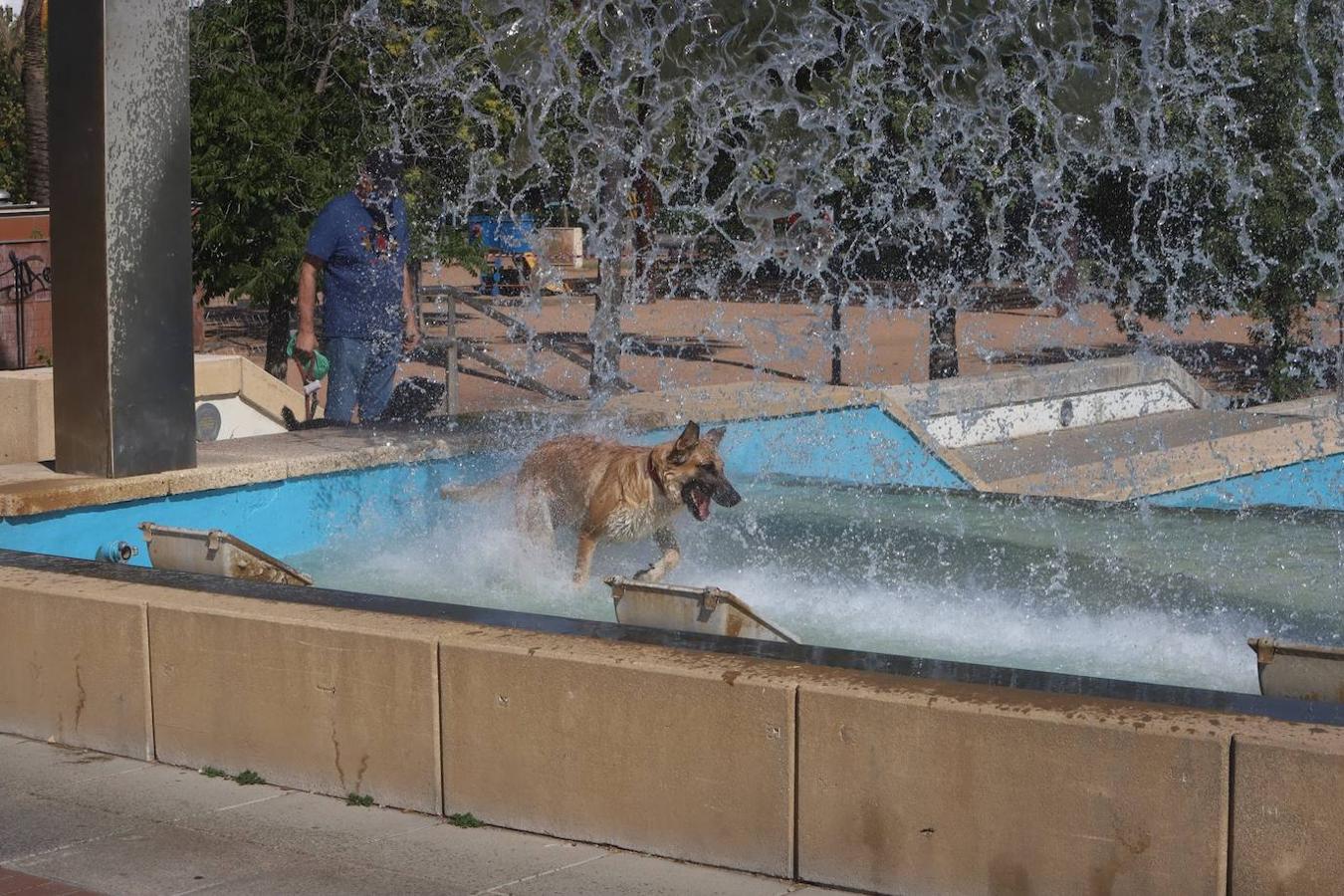 El tiempo en Córdoba: imágenes del primer día a 40 grados