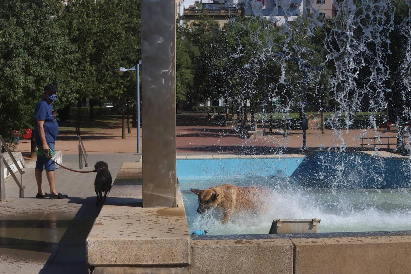 El tiempo en Córdoba: imágenes del primer día a 40 grados