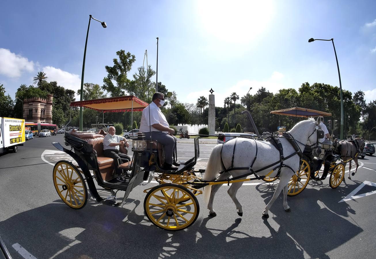 Un paseo solidario para los residentes del Hospital de la Caridad, en fotos