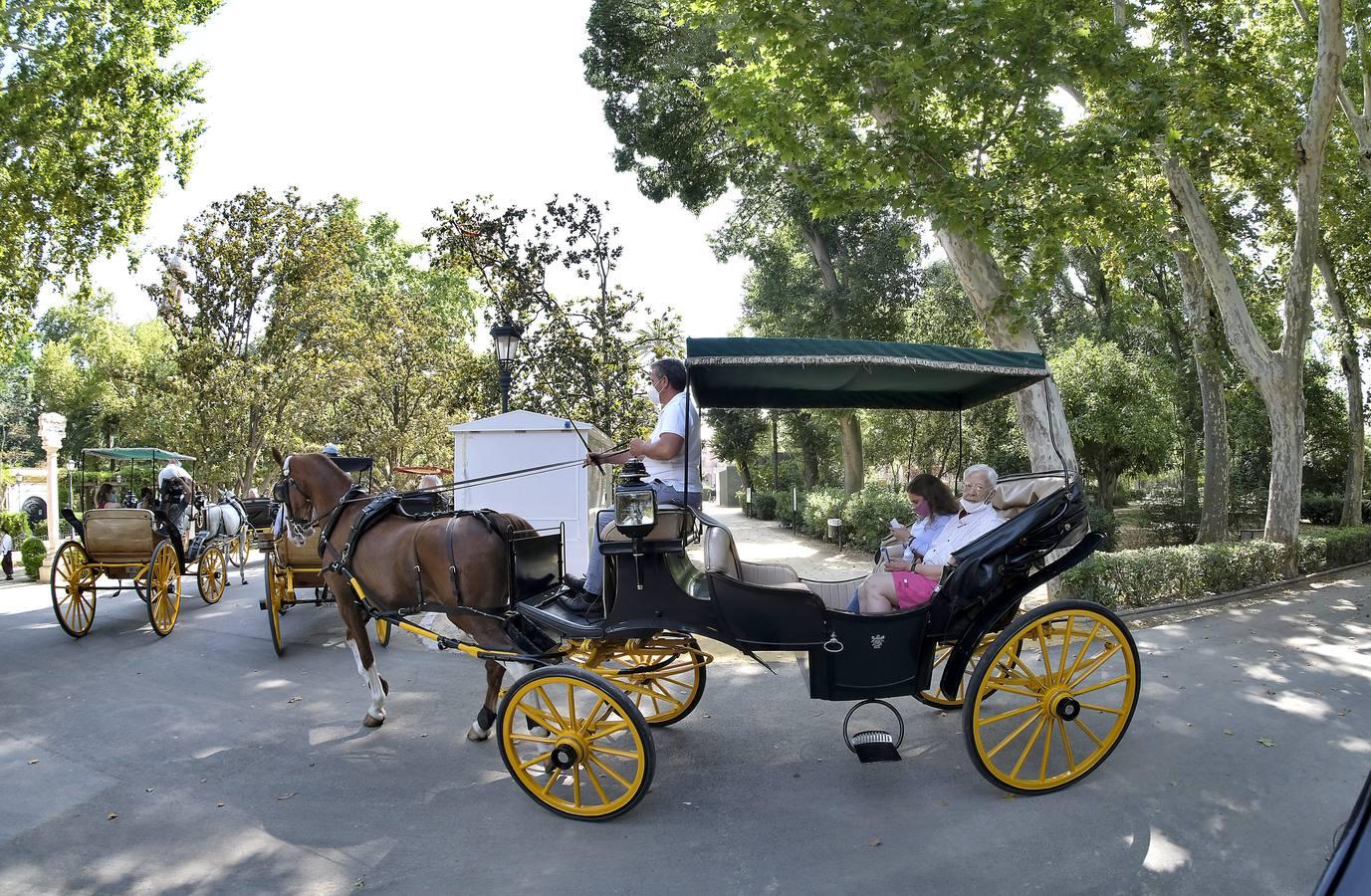 Un paseo solidario para los residentes del Hospital de la Caridad, en fotos