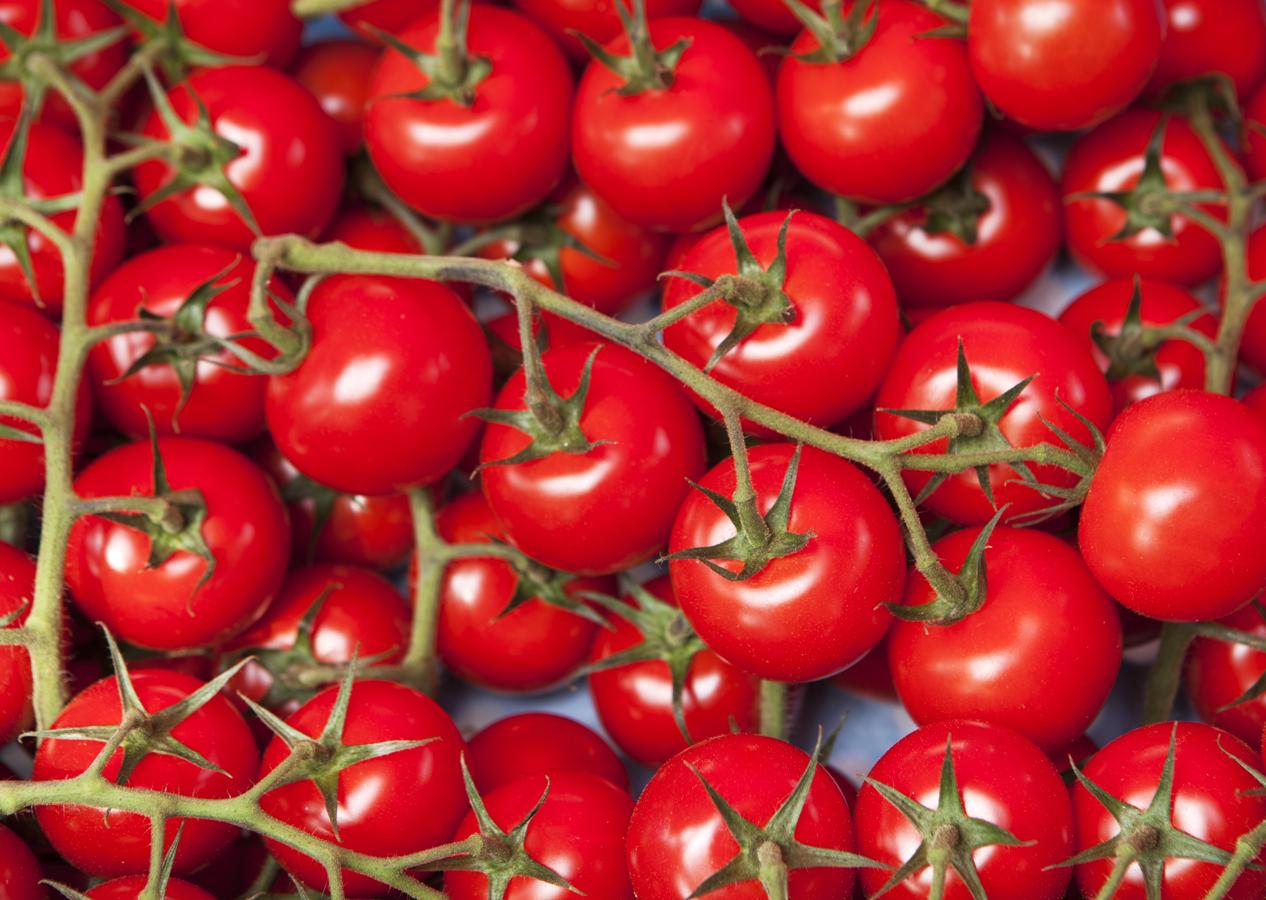 Tomate. Los <a href="https://www.abc.es/bienestar/alimentacion/abci-tomate-202002121421_noticia.html" target="_blank">tomates </a>madurados al sol del verano alcanzan un nivel de sabor y textura imposibles de superar. Además, existen muchas variedades distintas que corren el peligro de desaparecer por centrar la producción únicamente en las que mejor se venden. Esta verdura es rica en fibra, en minerales, vitaminas (A, D, E, del grupo B y también C) y cuenta con licopeno, un gran antioxidante.